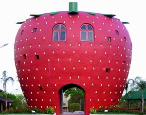 strawberries-house