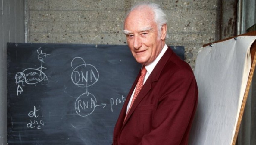 Crick si valoarea ADN-ului